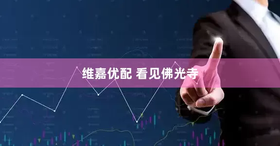 维嘉优配 看见佛光寺